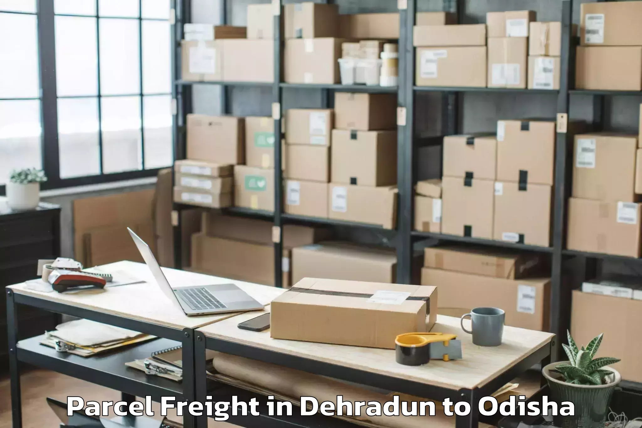 Book Dehradun to Airfield Kapila Prasad Parcel Freight Online